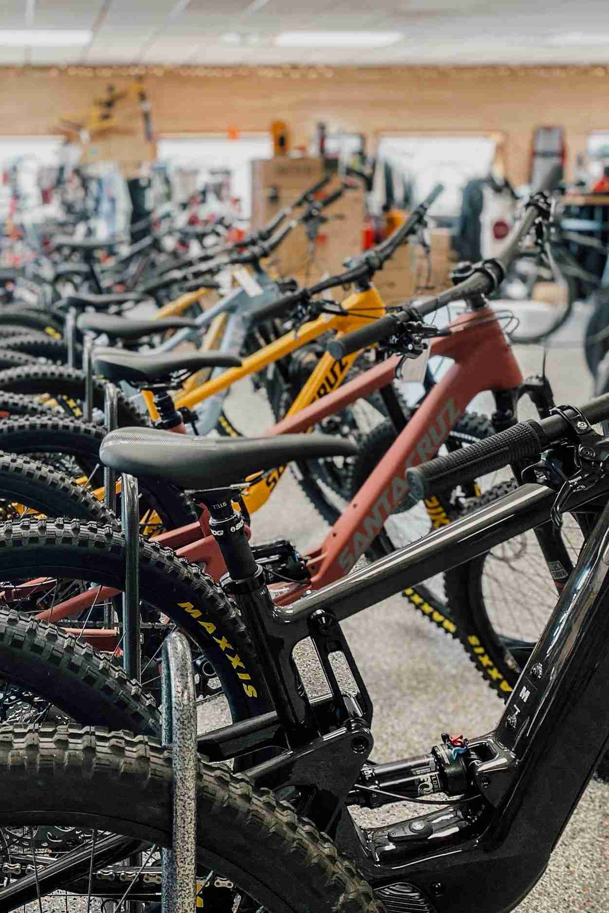Rental bikes at Ardent